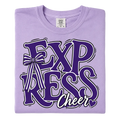 Express Cheer Bow